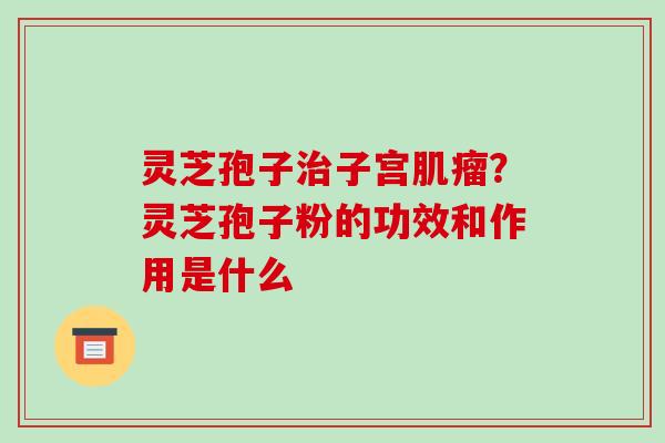 灵芝孢子治子宫肌瘤?灵芝孢子粉的功效和作用是什么-第1张图片-破壁灵芝孢子粉研究指南 灵芝孢子治子宫肌瘤?灵芝孢子粉的功效和作用是什么-第1张图片-破壁灵芝孢子粉研究指南