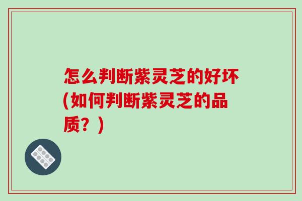 怎么判断紫灵芝的好坏(如何判断紫灵芝的品质？)-第1张图片-破壁灵芝孢子粉研究指南