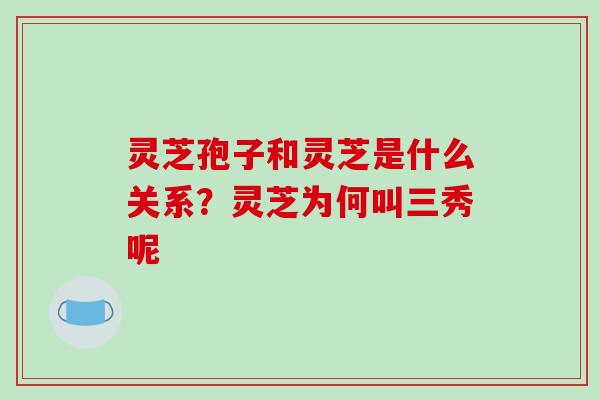 灵芝孢子和灵芝是什么关系?灵芝为何叫三秀呢-第1张图片-破壁灵芝孢子粉研究指南 灵芝孢子和灵芝是什么关系?灵芝为何叫三秀呢-第1张图片-破壁灵芝孢子粉研究指南