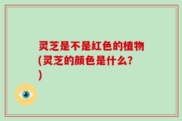 灵芝是不是红色的植物(灵芝的颜色是什么？)-第1张图片-破壁灵芝孢子粉研究指南