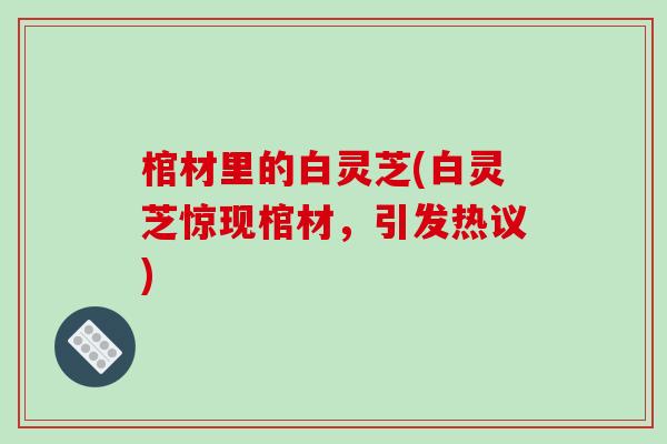 棺材里的白灵芝(白灵芝惊现棺材,引发热议)-第1张图片-破壁灵芝孢子粉研究指南 棺材里的白灵芝(白灵芝惊现棺材,引发热议)-第1张图片-破壁灵芝孢子粉研究指南