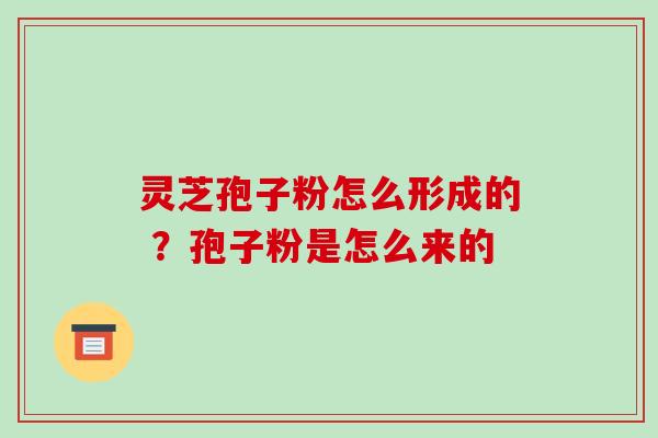 灵芝孢子粉怎么形成的 ?孢子粉是怎么来的-第1张图片-破壁灵芝孢子粉研究指南 灵芝孢子粉怎么形成的 ?孢子粉是怎么来的-第1张图片-破壁灵芝孢子粉研究指南