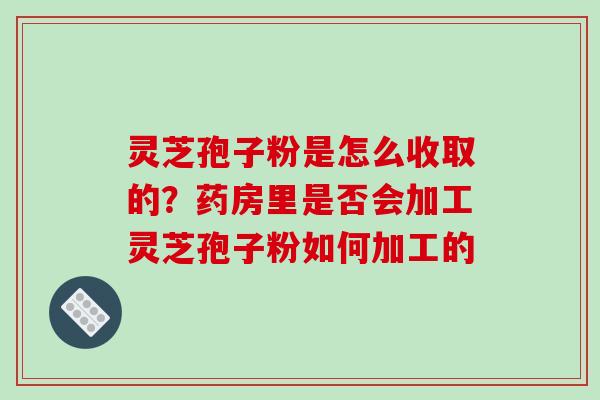 灵芝孢子粉是怎么收取的？药房里是否会加工灵芝孢子粉如何加工的-第1张图片-破壁灵芝孢子粉研究指南