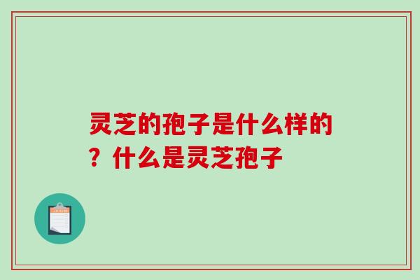 灵芝的孢子是什么样的？什么是灵芝孢子-第1张图片-破壁灵芝孢子粉研究指南
