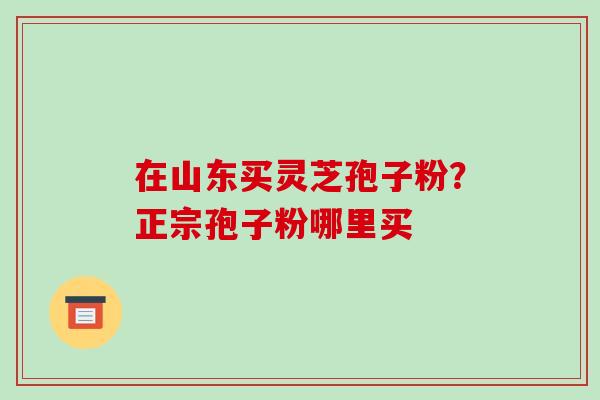 在山东买灵芝孢子粉?正宗孢子粉哪里买-第1张图片-破壁灵芝孢子粉研究指南 在山东买灵芝孢子粉?正宗孢子粉哪里买-第1张图片-破壁灵芝孢子粉研究指南