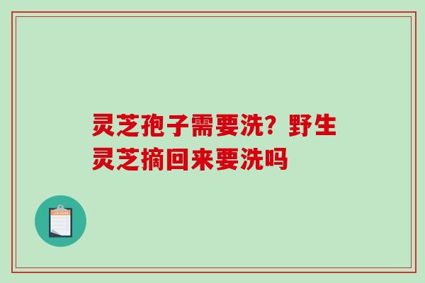 灵芝孢子需要洗?野生灵芝摘回来要洗吗-第1张图片-破壁灵芝孢子粉研究指南 灵芝孢子需要洗?野生灵芝摘回来要洗吗-第1张图片-破壁灵芝孢子粉研究指南