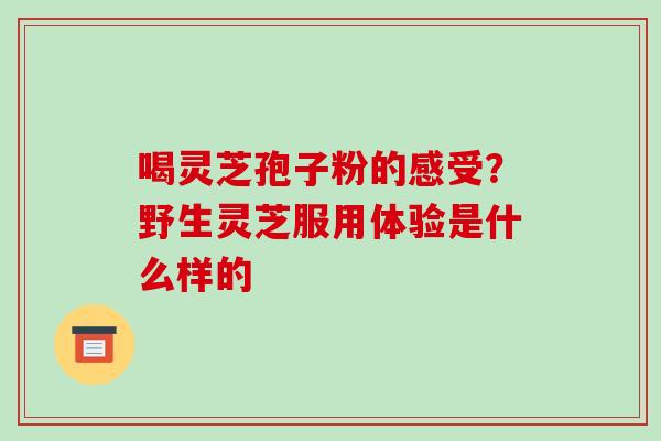 喝灵芝孢子粉的感受?野生灵芝服用体验是什么样的-第1张图片-破壁灵芝孢子粉研究指南 喝灵芝孢子粉的感受?野生灵芝服用体验是什么样的-第1张图片-破壁灵芝孢子粉研究指南