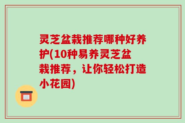 灵芝盆栽推荐哪种好养护(10种易养灵芝盆栽推荐，让你轻松打造小花园)-第1张图片-破壁灵芝孢子粉研究指南