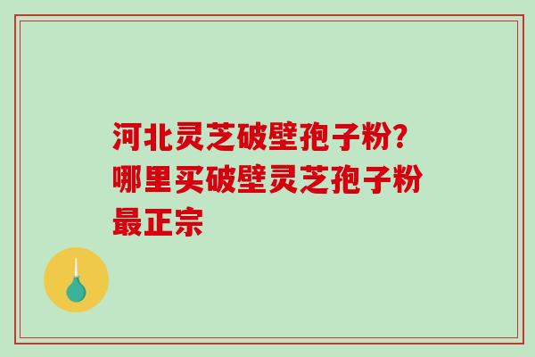 河北灵芝破壁孢子粉？哪里买破壁灵芝孢子粉最正宗-第1张图片-破壁灵芝孢子粉研究指南