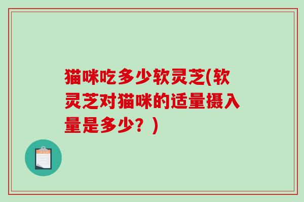 猫咪吃多少软灵芝(软灵芝对猫咪的适量摄入量是多少?)-第1张图片-破壁灵芝孢子粉研究指南 猫咪吃多少软灵芝(软灵芝对猫咪的适量摄入量是多少?)-第1张图片-破壁灵芝孢子粉研究指南