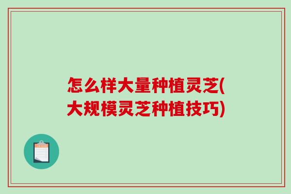 怎么样大量种植灵芝(大规模灵芝种植技巧)-第1张图片-破壁灵芝孢子粉研究指南 怎么样大量种植灵芝(大规模灵芝种植技巧)-第1张图片-破壁灵芝孢子粉研究指南