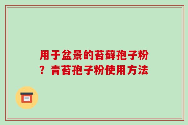 用于盆景的苔藓孢子粉？青苔孢子粉使用方法-第1张图片-破壁灵芝孢子粉研究指南