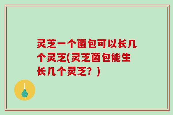 灵芝一个菌包可以长几个灵芝(灵芝菌包能生长几个灵芝?)-第1张图片-破壁灵芝孢子粉研究指南 灵芝一个菌包可以长几个灵芝(灵芝菌包能生长几个灵芝?)-第1张图片-破壁灵芝孢子粉研究指南