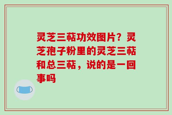 灵芝三萜功效图片?灵芝孢子粉里的灵芝三萜和总三萜,说的是一回事吗-第1张图片-破壁灵芝孢子粉研究指南 灵芝三萜功效图片?灵芝孢子粉里的灵芝三萜和总三萜,说的是一回事吗-第1张图片-破壁灵芝孢子粉研究指南