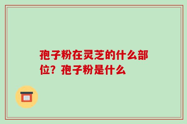 孢子粉在灵芝的什么部位？孢子粉是什么-第1张图片-破壁灵芝孢子粉研究指南