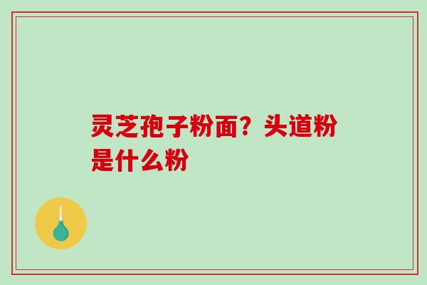 灵芝孢子粉面？头道粉是什么粉-第1张图片-破壁灵芝孢子粉研究指南