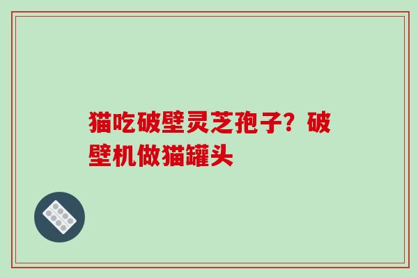 猫吃破壁灵芝孢子?破壁机做猫罐头-第1张图片-破壁灵芝孢子粉研究指南 猫吃破壁灵芝孢子?破壁机做猫罐头-第1张图片-破壁灵芝孢子粉研究指南