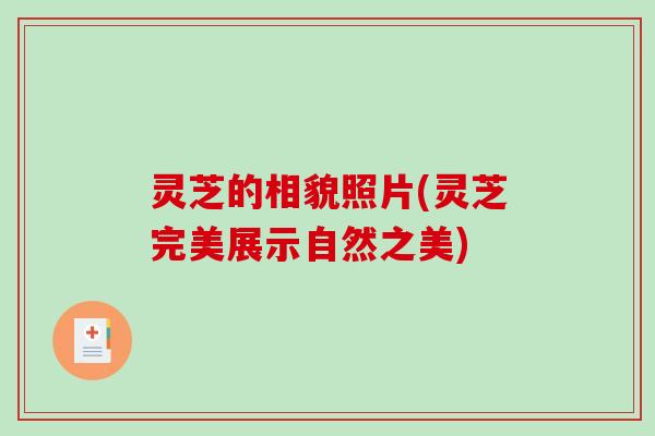 灵芝的相貌照片(灵芝完美展示自然之美)-第1张图片-破壁灵芝孢子粉研究指南 灵芝的相貌照片(灵芝完美展示自然之美)-第1张图片-破壁灵芝孢子粉研究指南