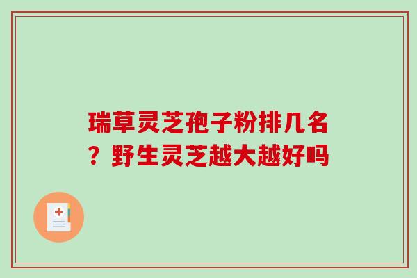 瑞草灵芝孢子粉排几名?野生灵芝越大越好吗-第1张图片-破壁灵芝孢子粉研究指南 瑞草灵芝孢子粉排几名?野生灵芝越大越好吗-第1张图片-破壁灵芝孢子粉研究指南