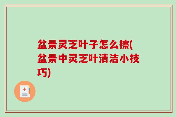 盆景灵芝叶子怎么擦(盆景中灵芝叶清洁小技巧)-第1张图片-破壁灵芝孢子粉研究指南 盆景灵芝叶子怎么擦(盆景中灵芝叶清洁小技巧)-第1张图片-破壁灵芝孢子粉研究指南
