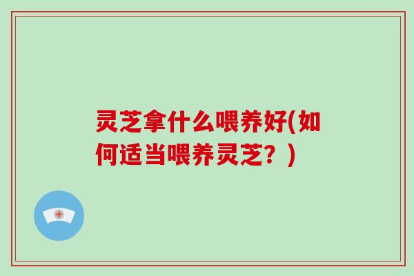 灵芝拿什么喂养好(如何适当喂养灵芝？)-第1张图片-破壁灵芝孢子粉研究指南