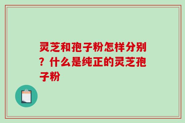 灵芝和孢子粉怎样分别？什么是纯正的灵芝孢子粉-第1张图片-破壁灵芝孢子粉研究指南