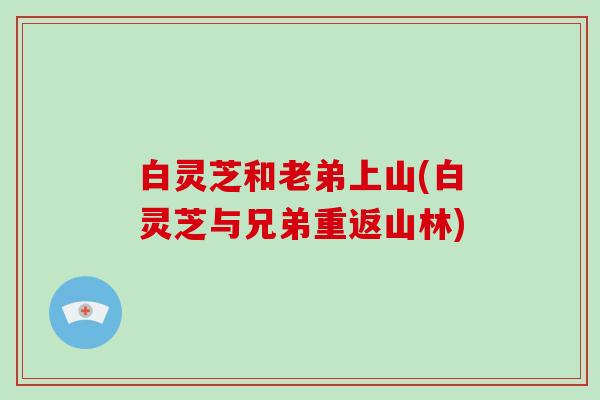 白灵芝和老弟上山(白灵芝与兄弟重返山林)-第1张图片-破壁灵芝孢子粉研究指南 白灵芝和老弟上山(白灵芝与兄弟重返山林)-第1张图片-破壁灵芝孢子粉研究指南