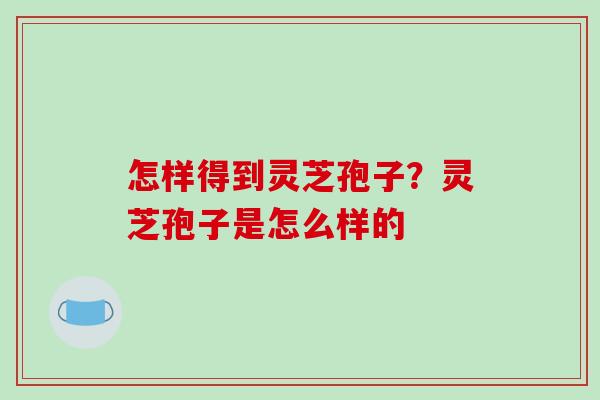 怎样得到灵芝孢子？灵芝孢子是怎么样的-第1张图片-破壁灵芝孢子粉研究指南