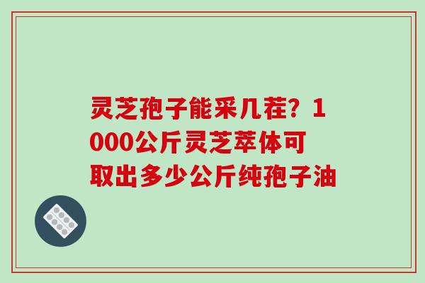 灵芝孢子能采几茬?1000公斤灵芝萃体可取出多少公斤纯孢子油-第1张图片-破壁灵芝孢子粉研究指南 灵芝孢子能采几茬?1000公斤灵芝萃体可取出多少公斤纯孢子油-第1张图片-破壁灵芝孢子粉研究指南