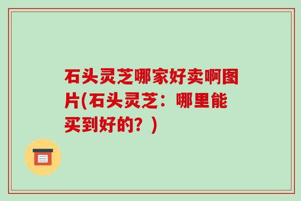 石头灵芝哪家好卖啊图片(石头灵芝：哪里能买到好的？)-第1张图片-破壁灵芝孢子粉研究指南