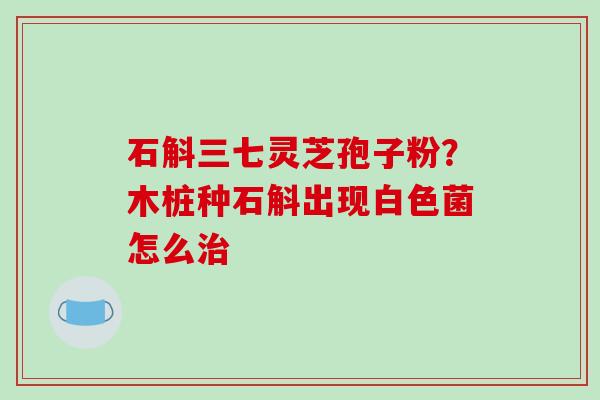 石斛三七灵芝孢子粉?木桩种石斛出现白色菌怎么治-第1张图片-破壁灵芝孢子粉研究指南 石斛三七灵芝孢子粉?木桩种石斛出现白色菌怎么治-第1张图片-破壁灵芝孢子粉研究指南