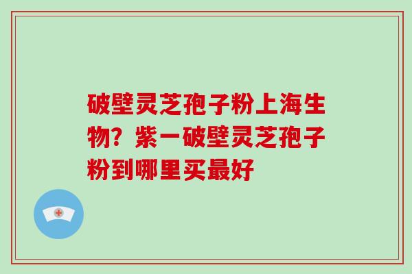 破壁灵芝孢子粉上海生物?紫一破壁灵芝孢子粉到哪里买最好-第1张图片-破壁灵芝孢子粉研究指南 破壁灵芝孢子粉上海生物?紫一破壁灵芝孢子粉到哪里买最好-第1张图片-破壁灵芝孢子粉研究指南