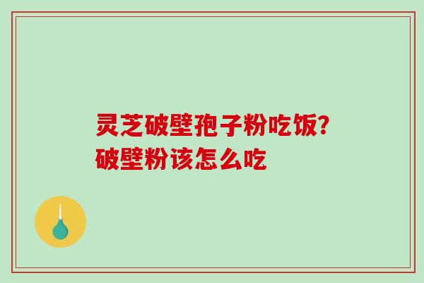 灵芝破壁孢子粉吃饭？破壁粉该怎么吃-第1张图片-破壁灵芝孢子粉研究指南