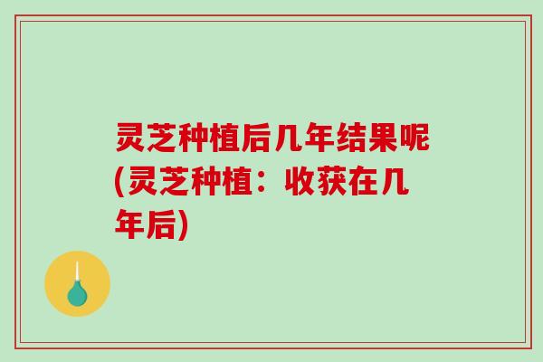 灵芝种植后几年结果呢(灵芝种植:收获在几年后)-第1张图片-破壁灵芝孢子粉研究指南 灵芝种植后几年结果呢(灵芝种植:收获在几年后)-第1张图片-破壁灵芝孢子粉研究指南