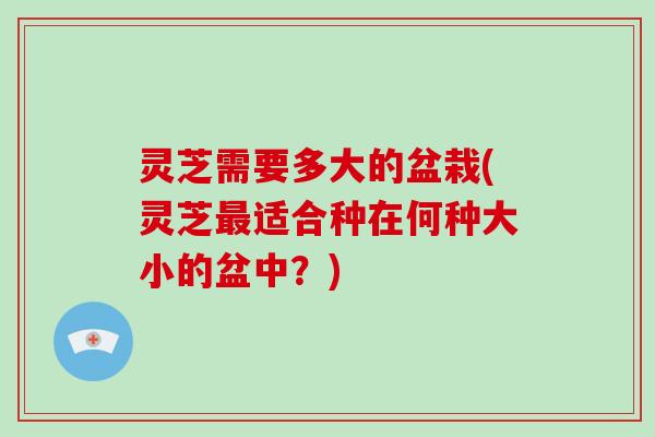 灵芝需要多大的盆栽(灵芝最适合种在何种大小的盆中？)-第1张图片-破壁灵芝孢子粉研究指南