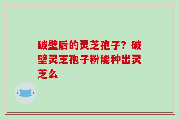 破壁后的灵芝孢子?破壁灵芝孢子粉能种出灵芝么-第1张图片-破壁灵芝孢子粉研究指南 破壁后的灵芝孢子?破壁灵芝孢子粉能种出灵芝么-第1张图片-破壁灵芝孢子粉研究指南
