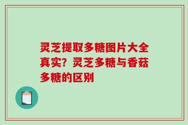 灵芝提取多糖图片大全真实？灵芝多糖与香菇多糖的区别-第1张图片-破壁灵芝孢子粉研究指南