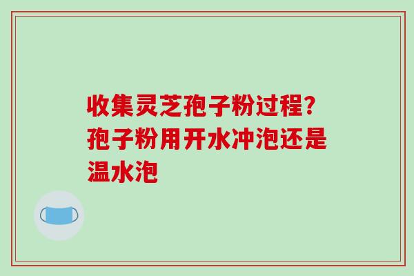 收集灵芝孢子粉过程?孢子粉用开水冲泡还是温水泡-第1张图片-破壁灵芝孢子粉研究指南 收集灵芝孢子粉过程?孢子粉用开水冲泡还是温水泡-第1张图片-破壁灵芝孢子粉研究指南