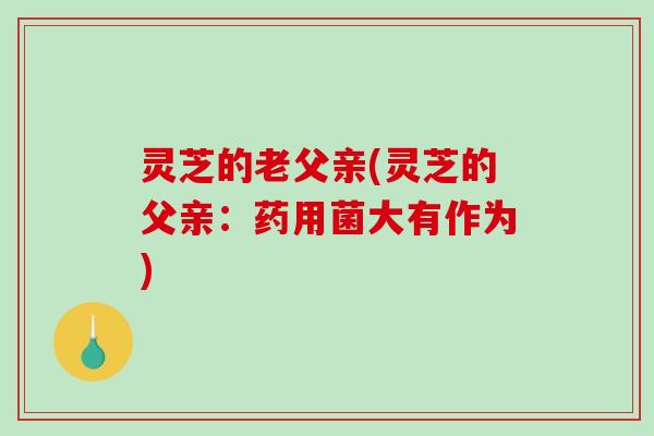 灵芝的老父亲(灵芝的父亲:药用菌大有作为)-第1张图片-破壁灵芝孢子粉研究指南 灵芝的老父亲(灵芝的父亲:药用菌大有作为)-第1张图片-破壁灵芝孢子粉研究指南