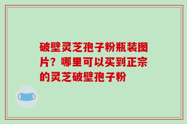 破壁灵芝孢子粉瓶装图片?哪里可以买到正宗的灵芝破壁孢子粉-第1张图片-破壁灵芝孢子粉研究指南 破壁灵芝孢子粉瓶装图片?哪里可以买到正宗的灵芝破壁孢子粉-第1张图片-破壁灵芝孢子粉研究指南