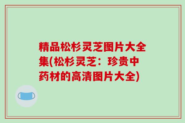 精品松杉灵芝图片大全集(松杉灵芝:珍贵中药材的高清图片大全)-第1张图片-破壁灵芝孢子粉研究指南 精品松杉灵芝图片大全集(松杉灵芝:珍贵中药材的高清图片大全)-第1张图片-破壁灵芝孢子粉研究指南
