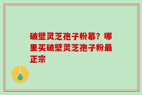 破壁灵芝孢子粉慕?哪里买破壁灵芝孢子粉最正宗-第1张图片-破壁灵芝孢子粉研究指南 破壁灵芝孢子粉慕?哪里买破壁灵芝孢子粉最正宗-第1张图片-破壁灵芝孢子粉研究指南