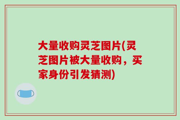 大量收购灵芝图片(灵芝图片被大量收购,买家身份引发猜测)-第1张图片-破壁灵芝孢子粉研究指南 大量收购灵芝图片(灵芝图片被大量收购,买家身份引发猜测)-第1张图片-破壁灵芝孢子粉研究指南