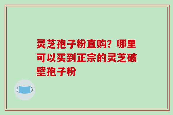 灵芝孢子粉直购？哪里可以买到正宗的灵芝破壁孢子粉-第1张图片-破壁灵芝孢子粉研究指南