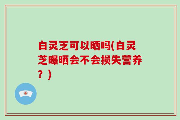 白灵芝可以晒吗(白灵芝曝晒会不会损失营养？)-第1张图片-破壁灵芝孢子粉研究指南