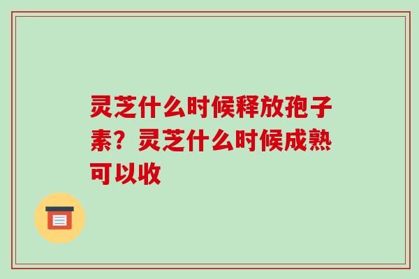 灵芝什么时候释放孢子素？灵芝什么时候成熟可以收-第1张图片-破壁灵芝孢子粉研究指南