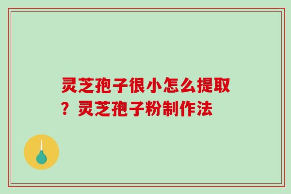灵芝孢子很小怎么提取?灵芝孢子粉制作法-第1张图片-破壁灵芝孢子粉研究指南 灵芝孢子很小怎么提取?灵芝孢子粉制作法-第1张图片-破壁灵芝孢子粉研究指南