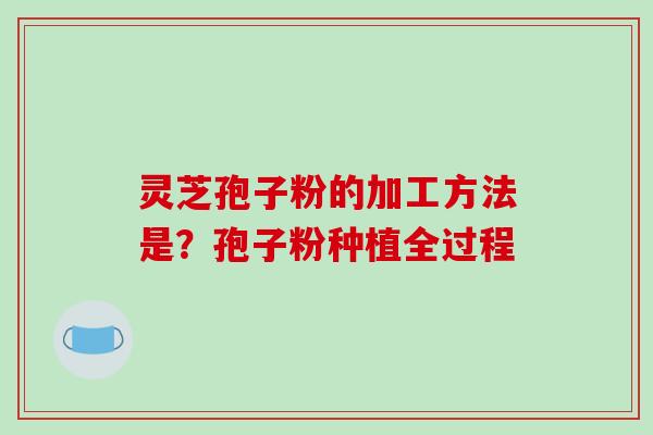 灵芝孢子粉的加工方法是?孢子粉种植全过程-第1张图片-破壁灵芝孢子粉研究指南 灵芝孢子粉的加工方法是?孢子粉种植全过程-第1张图片-破壁灵芝孢子粉研究指南
