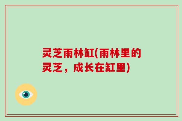 灵芝雨林缸(雨林里的灵芝,成长在缸里)-第1张图片-破壁灵芝孢子粉研究指南 灵芝雨林缸(雨林里的灵芝,成长在缸里)-第1张图片-破壁灵芝孢子粉研究指南