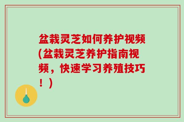 盆栽灵芝如何养护视频(盆栽灵芝养护指南视频，快速学习养殖技巧！)-第1张图片-破壁灵芝孢子粉研究指南